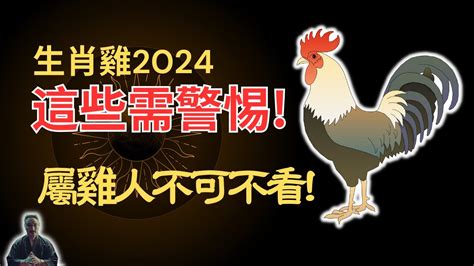 生肖屬雞|2024屬雞幾歲、2024屬雞運勢、屬雞幸運色、財位、禁忌